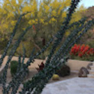 Meet your Posher, Bonnie